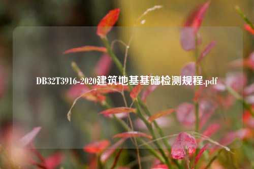 DB32T3916-2020建筑地基基础检测规程.pdf
